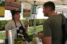 Whole Foods Glendale Marketing Representative, Shana McCovbrey tells Kenesiology major, Nishan Simbotyan, 29, about the organic bananas they sell at Whole Foods.