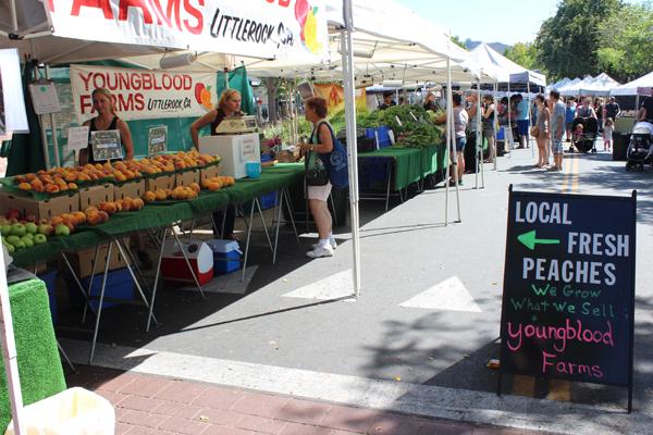 Creativity Connects a Community at Montrose Farmers Market