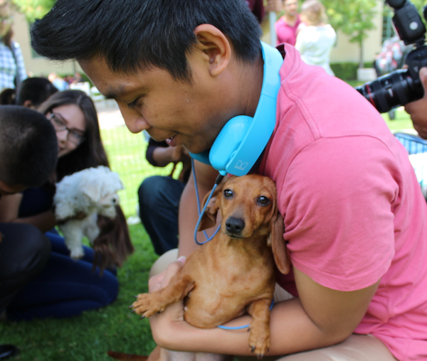 Louis Daza, a computer science major at GCC, gets his chance to pet a puppy.