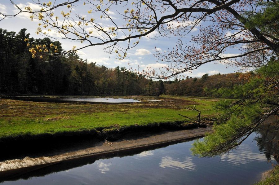 Rachel Carson National Wildlife Refuge was established in 1966 in cooperation with the State of Maine to protect valuable salt marshes. Carson was a world-renowned marine biologist.